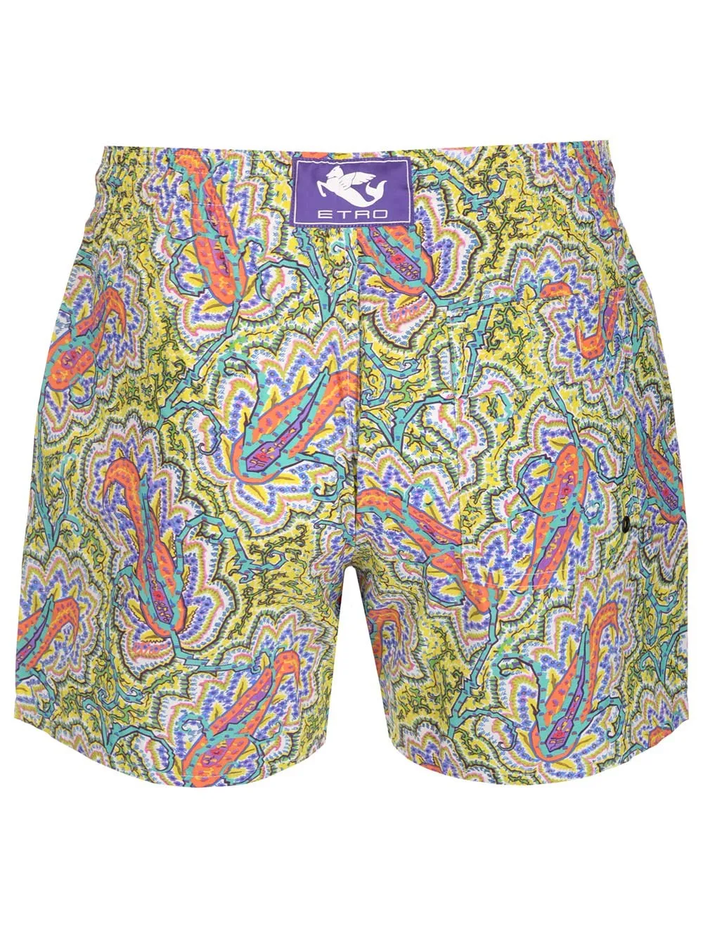 Etro Pattern Printed Drawstring Swim Shorts