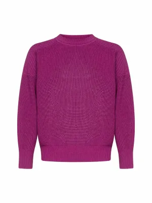 Isabel Marant Crewneck Ribbed Knit Sweater